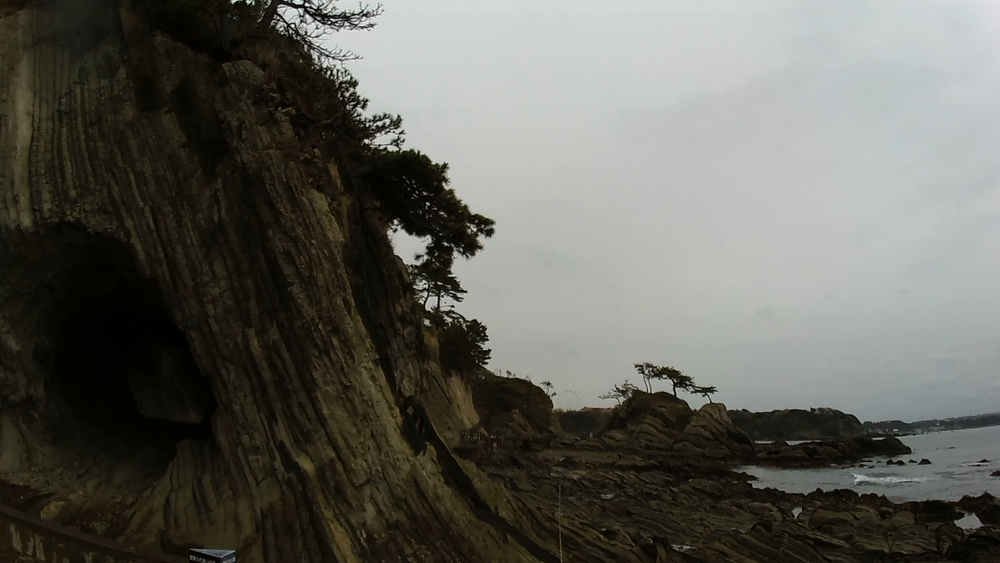 横須賀長井海の手公園「ソレイユの丘」から荒崎海岸へ周遊９キロの写真3