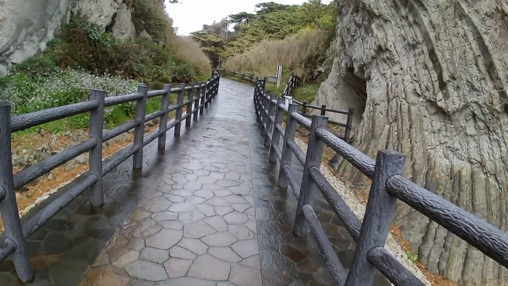 横須賀長井海の手公園「ソレイユの丘」から荒崎海岸へ周遊９キロの写真4
