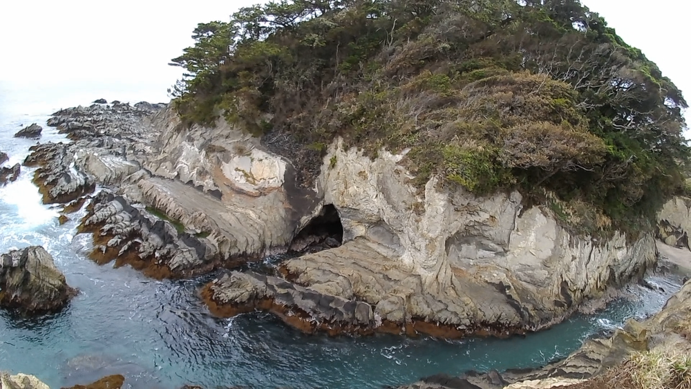 横須賀長井海の手公園「ソレイユの丘」から荒崎海岸へ周遊９キロの写真5