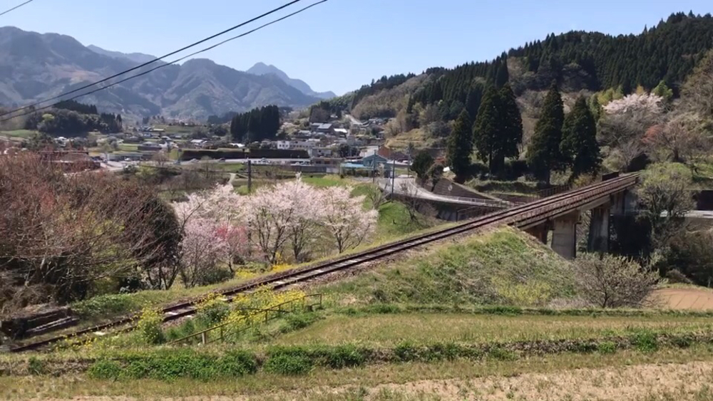 パワーフル充填ラン！(往路)【高千穂神社〜天岩戸神社〜天安河原神社】の写真5