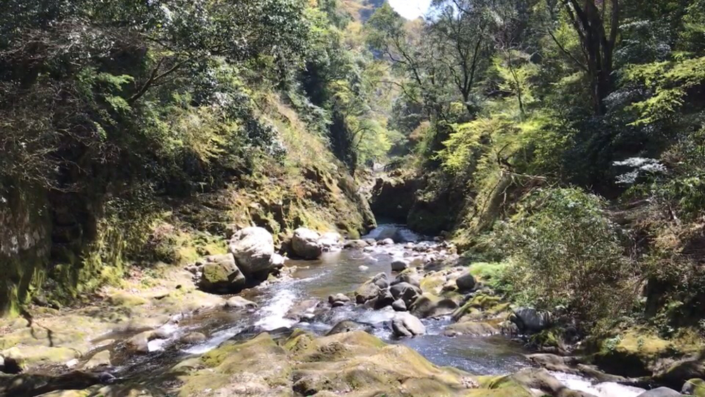 パワーフル充填ラン！(往路)【高千穂神社〜天岩戸神社〜天安河原神社】の写真11