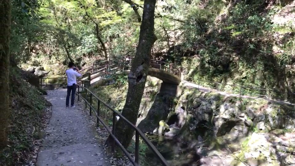 パワーフル充填ラン！(往路)【高千穂神社〜天岩戸神社〜天安河原神社】の写真12