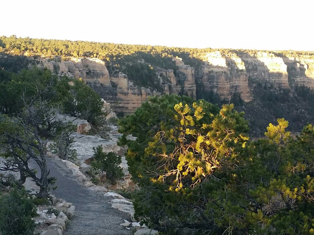 峡谷の絶対王者　グランドキャニオンラントリップの写真5