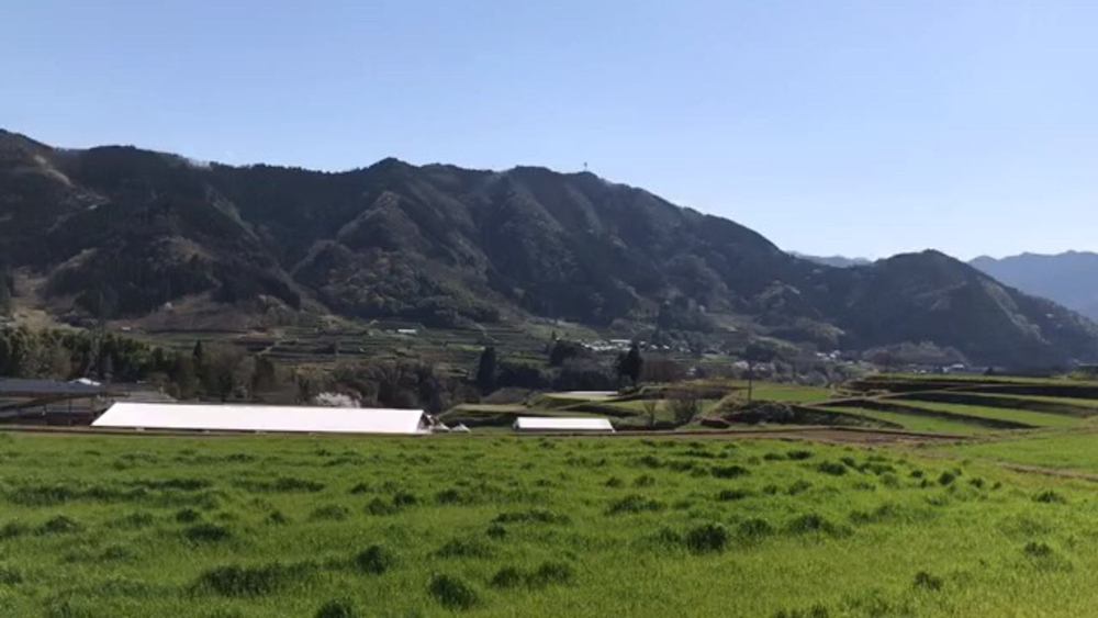 パワーフル充填ラン！(復路)【天岩戸神社〜高千穂神社〜高千穂峡】の写真6