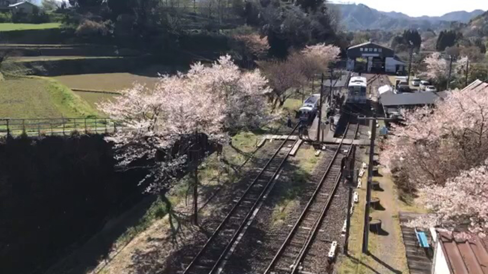 パワーフル充填ラン！(復路)【天岩戸神社〜高千穂神社〜高千穂峡】の写真11