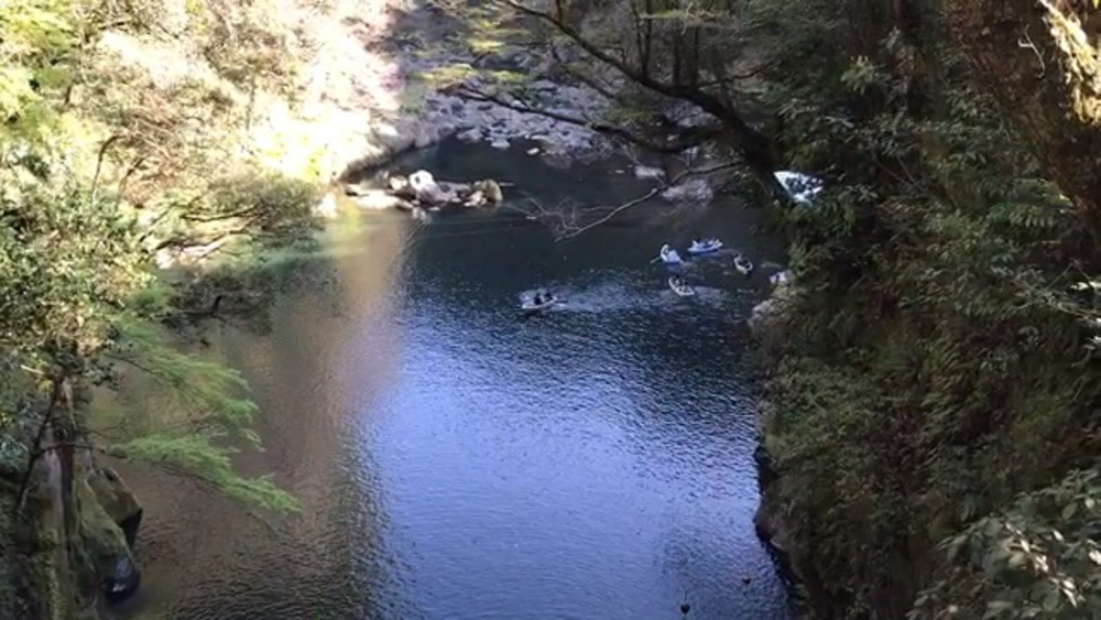 パワーフル充填ラン！(復路)【天岩戸神社〜高千穂神社〜高千穂峡】の写真15