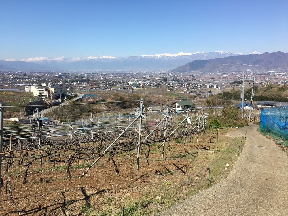 甲州高尾山と花見ランの写真3