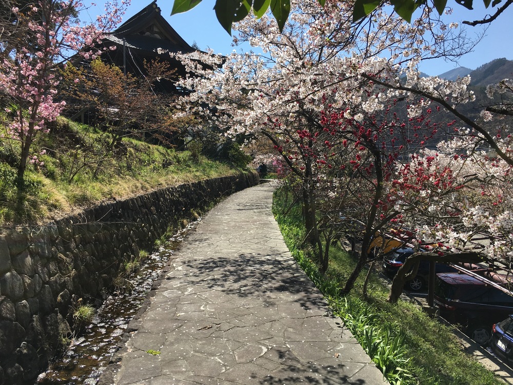 甲州高尾山と花見ランの写真4