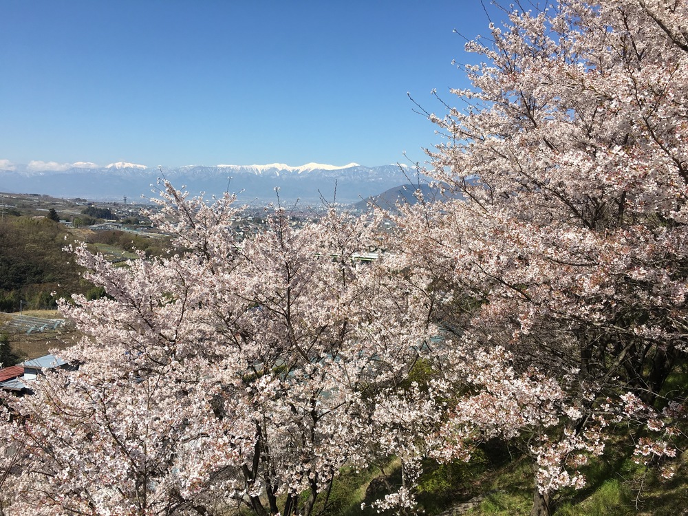 甲州高尾山と花見ランの写真5