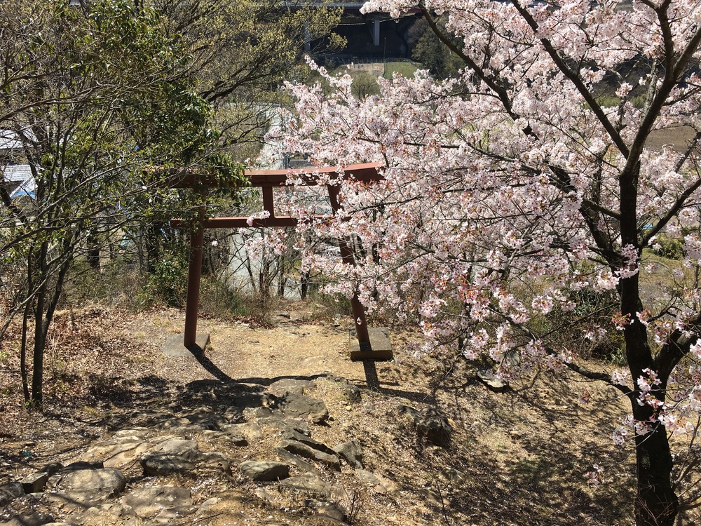 甲州高尾山と花見ランの写真8