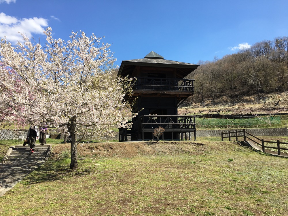 甲州高尾山と花見ランの写真14