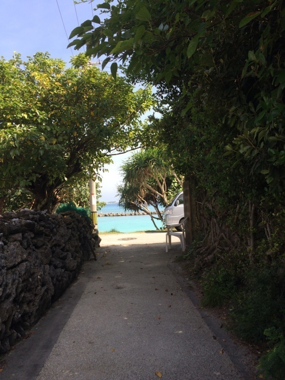 沖縄・阿嘉島　―ケラマブルーに包まれて―の写真4