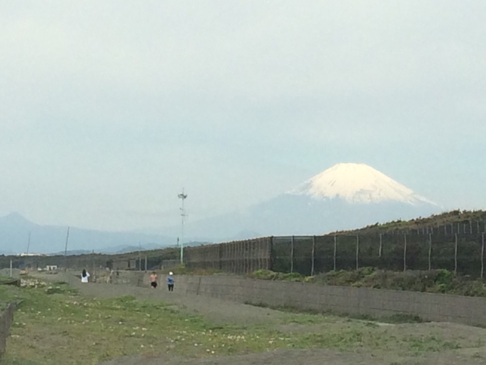 茅ヶ崎サイクリングロード　―江の島・富士山をめがけ、潮風を受けながら―の写真8