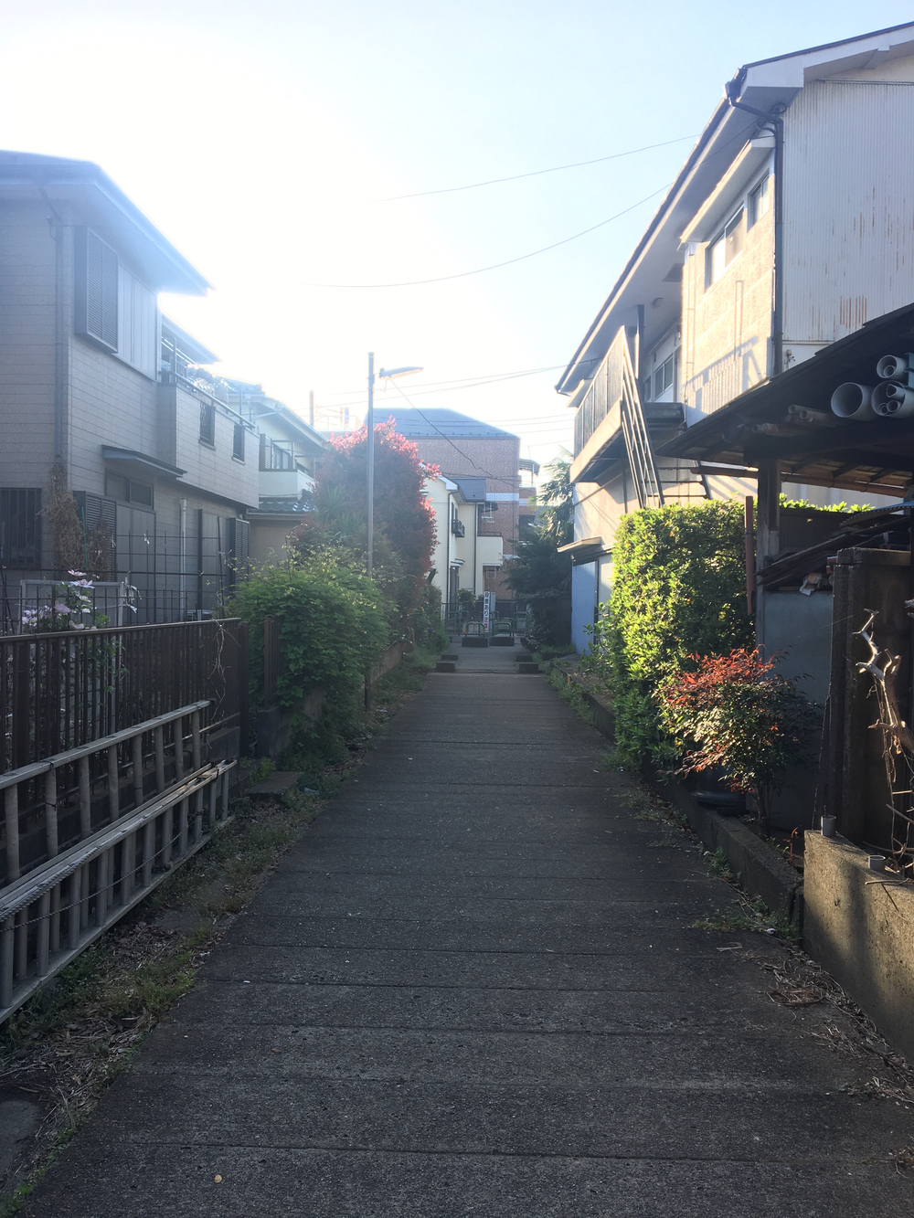 所沢道と大泉堀、したみち通り13kmの写真5