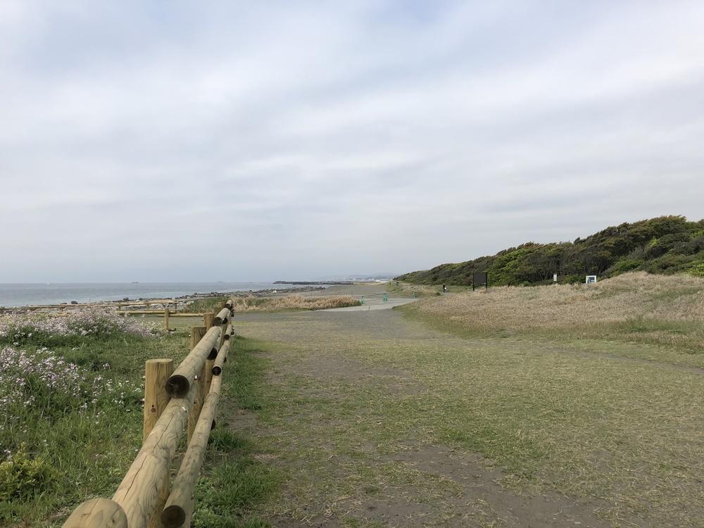 茅ヶ崎の海風を感じながら気分爽快なコース。距離はその日の調子で^_^の写真4