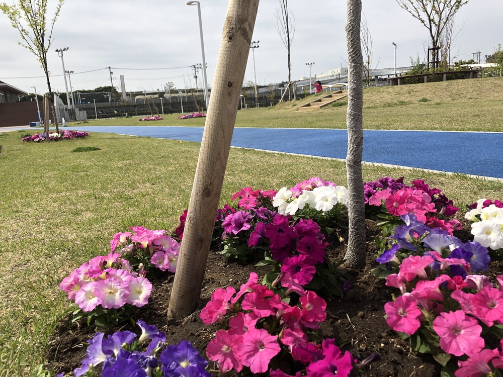 茅ヶ崎の海風を感じながら気分爽快なコース。距離はその日の調子で^_^の写真8