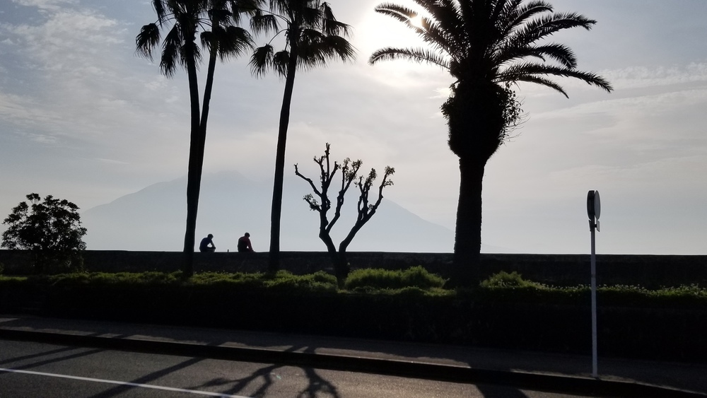 鹿児島市の定番コースにもやっぱり海と桜島の写真4