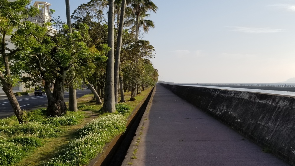 鹿児島市の定番コースにもやっぱり海と桜島の写真5