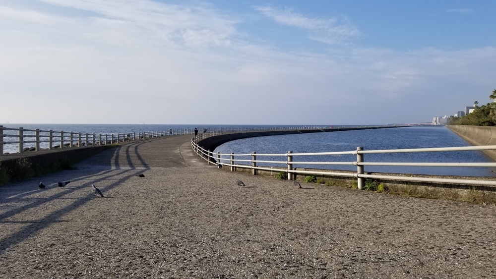 鹿児島市の定番コースにもやっぱり海と桜島の写真6