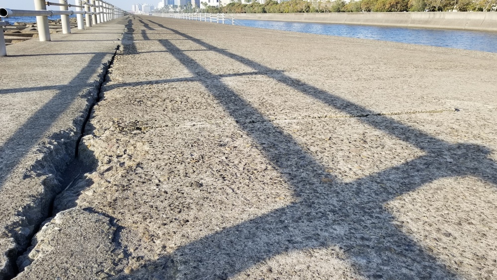 鹿児島市の定番コースにもやっぱり海と桜島の写真7