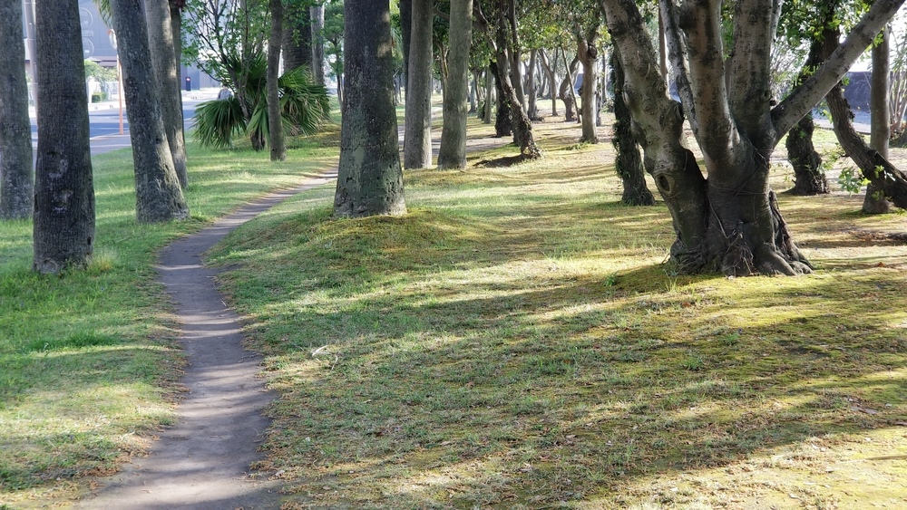 鹿児島市の定番コースにもやっぱり海と桜島の写真11