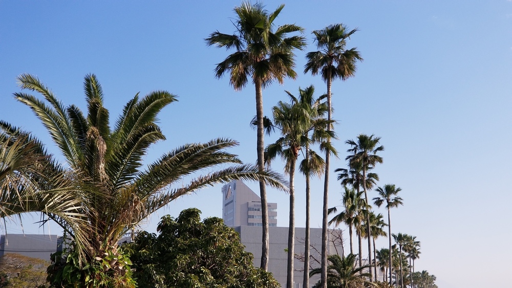 鹿児島市の定番コースにもやっぱり海と桜島の写真12
