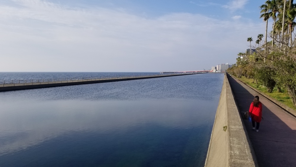 鹿児島市の定番コースにもやっぱり海と桜島の写真13