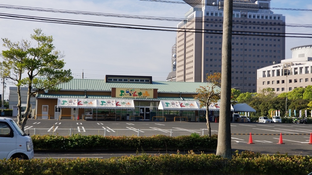 鹿児島市の定番コースにもやっぱり海と桜島の写真16