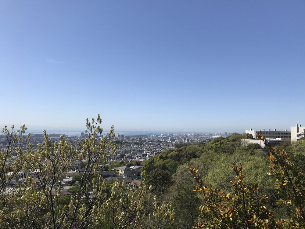 犬連れ 北山植物園からダムを抜けての写真3