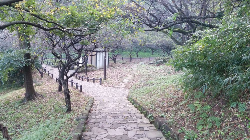 【横浜上大岡】丘の上にある梅林で有名な岡村公園の写真4