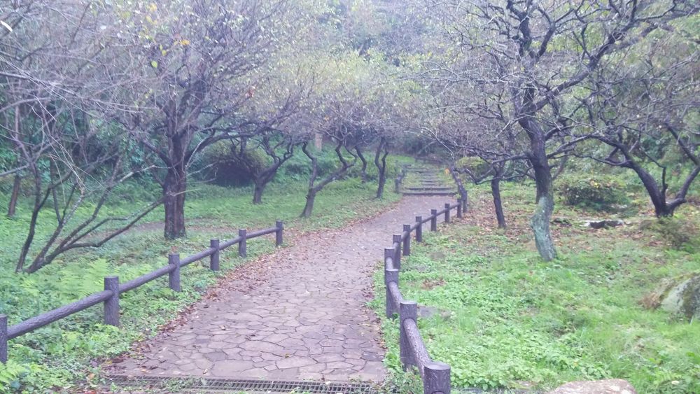 【横浜上大岡】丘の上にある梅林で有名な岡村公園の写真5