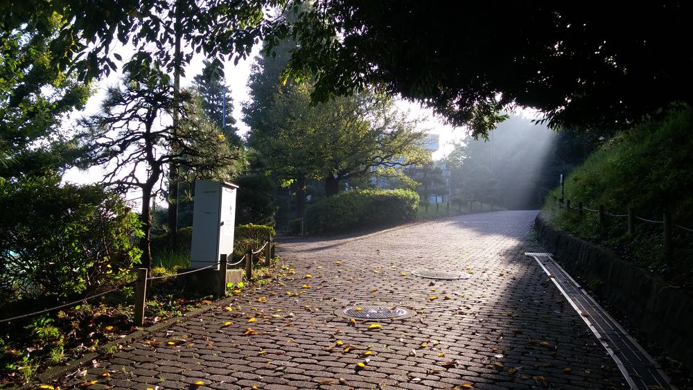 【横浜上大岡】丘の上にある梅林で有名な岡村公園の写真7