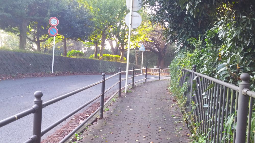 【横浜上大岡】丘の上にある梅林で有名な岡村公園の写真8