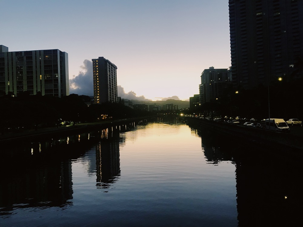 【HAWAII】GreenParkとSeaside 自然感じるモーニングRuntripの写真3