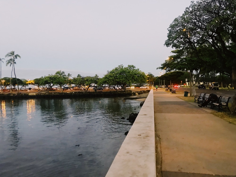 【HAWAII】GreenParkとSeaside 自然感じるモーニングRuntripの写真4