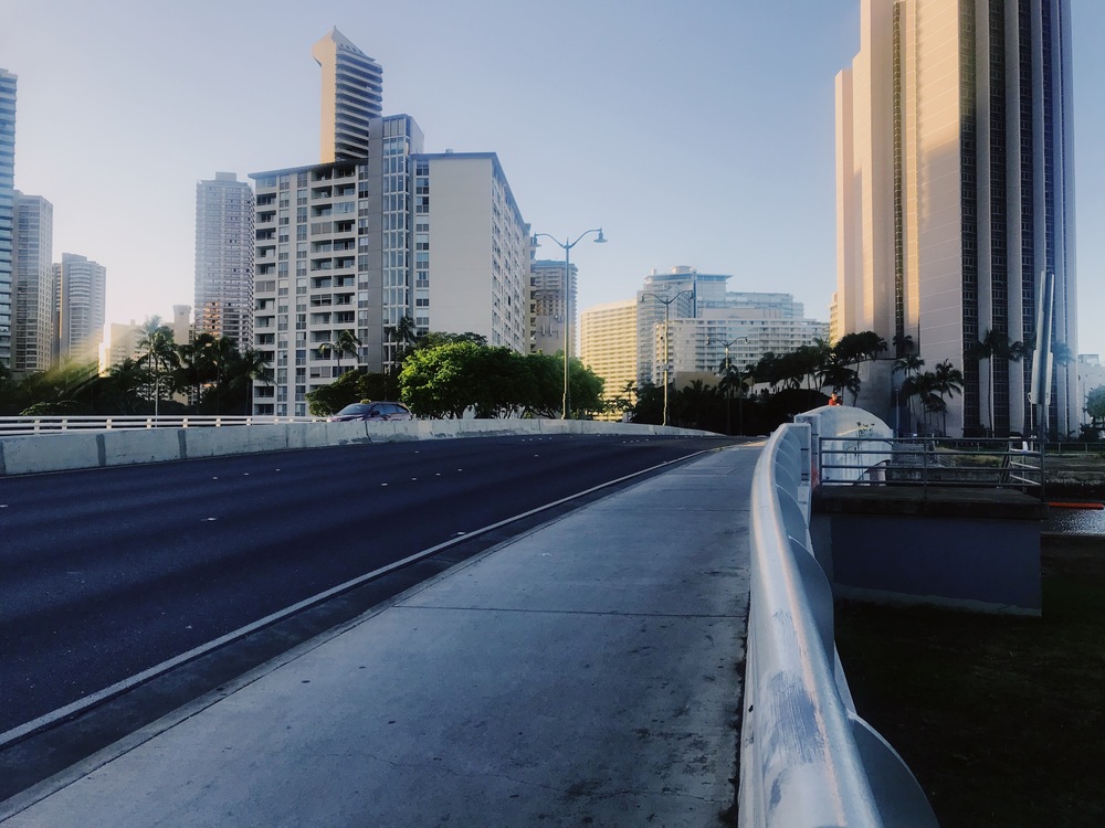 【HAWAII】GreenParkとSeaside 自然感じるモーニングRuntripの写真8