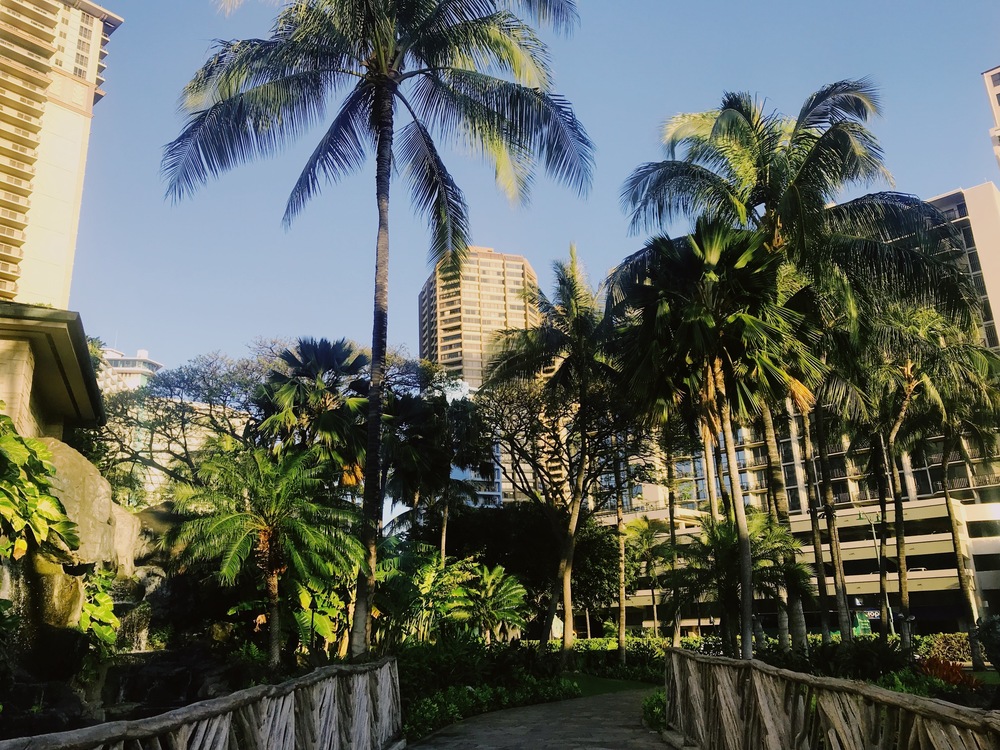 【HAWAII】GreenParkとSeaside 自然感じるモーニングRuntripの写真11