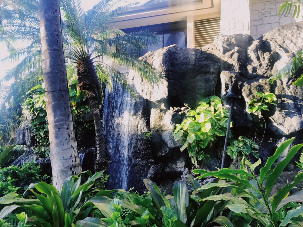 【HAWAII】GreenParkとSeaside 自然感じるモーニングRuntripの写真12