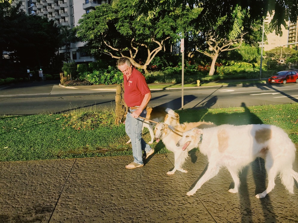 【HAWAII】GreenParkとSeaside 自然感じるモーニングRuntripの写真13