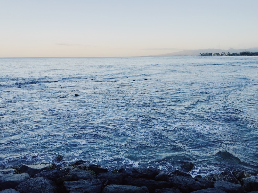 【HAWAII】GreenParkとSeaside 自然感じるモーニングRuntripの写真14