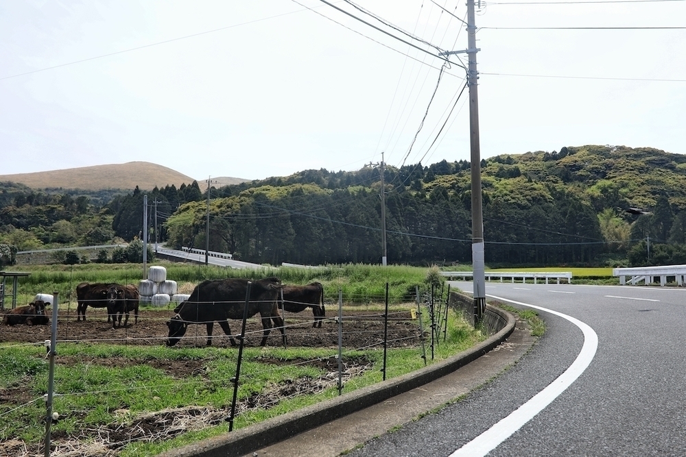 石田城跡から鬼岳を自由に走るコースの写真6