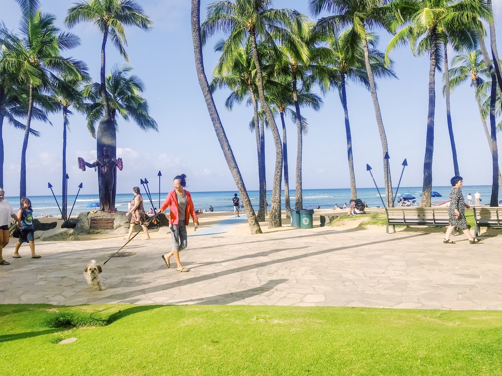 【Hawaii】 Honolulu Harf Marathon HAPALUA2019の写真14