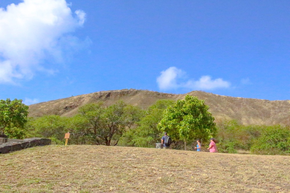 【Hawaii】 Honolulu Harf Marathon HAPALUA2019の写真16