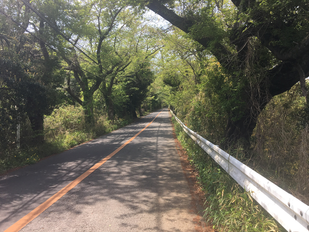「湘南三畳」(湘南海岸・湘南大橋・湘南平)の写真8