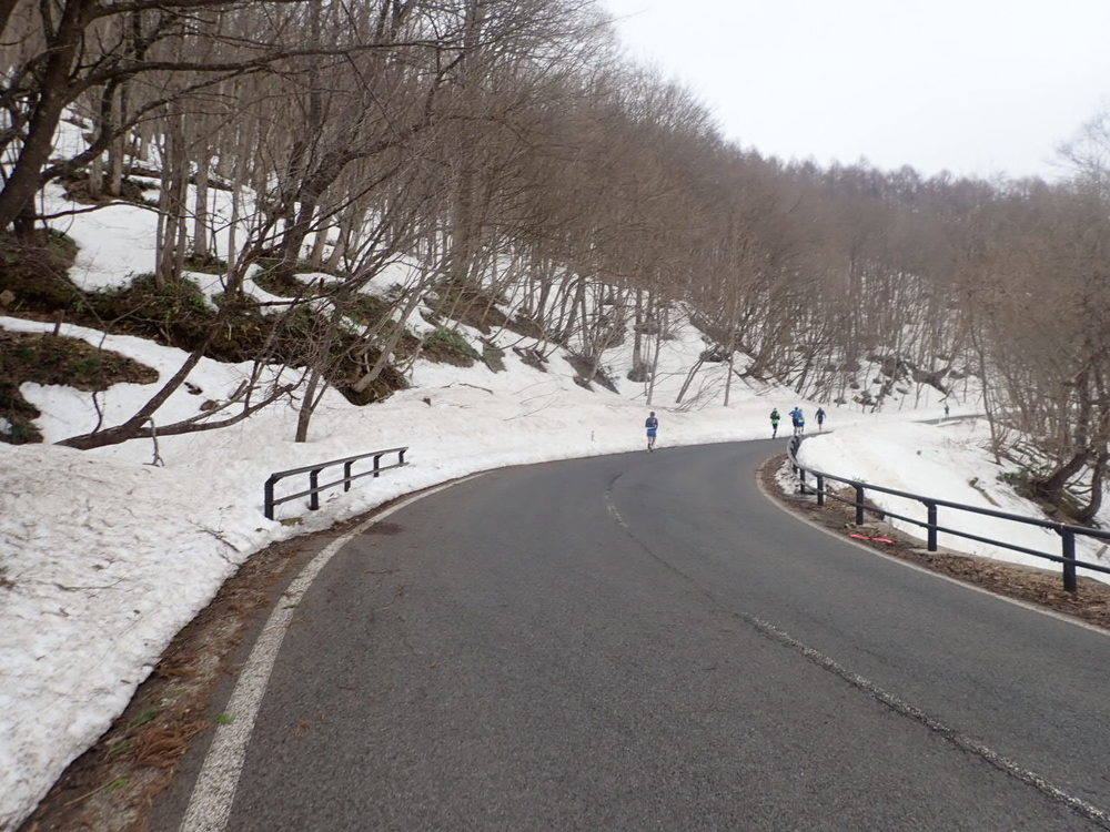 山寺・蔵王ウルトラマラソンの写真4