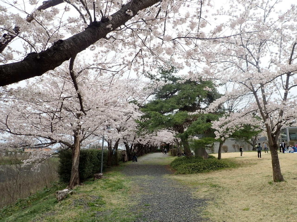山寺・蔵王ウルトラマラソンの写真6