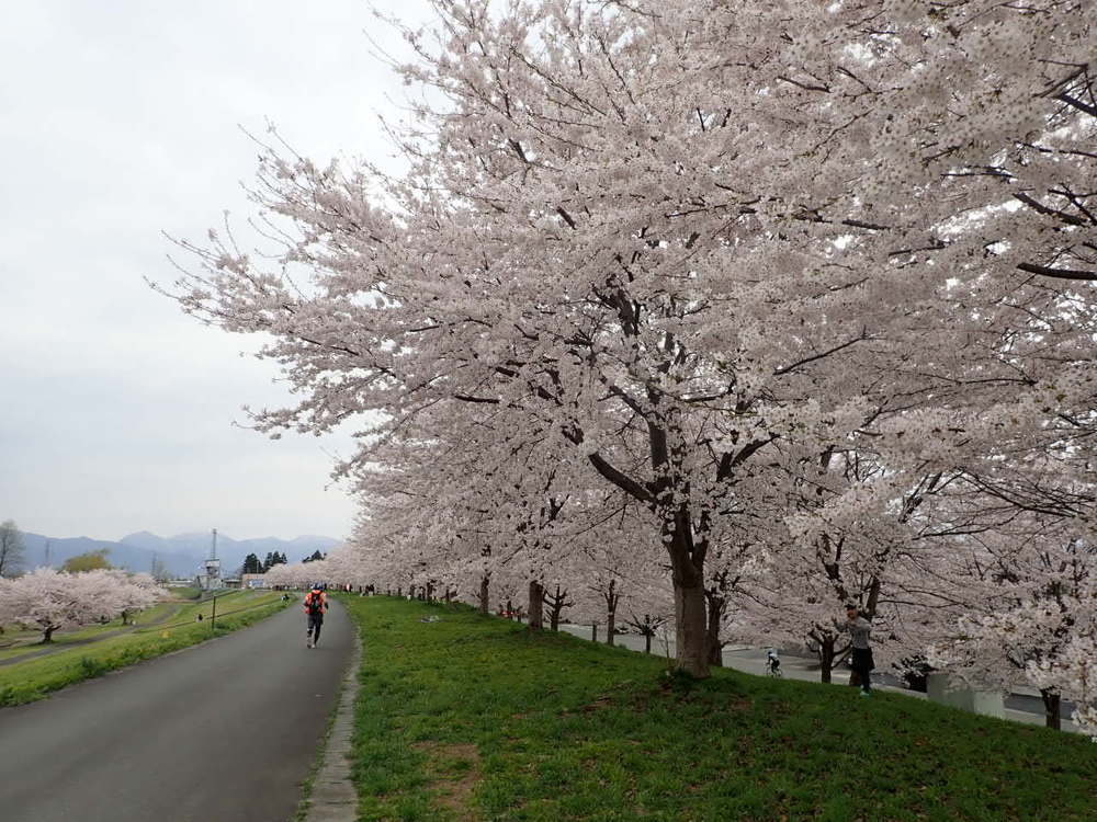 山寺・蔵王ウルトラマラソンの写真7