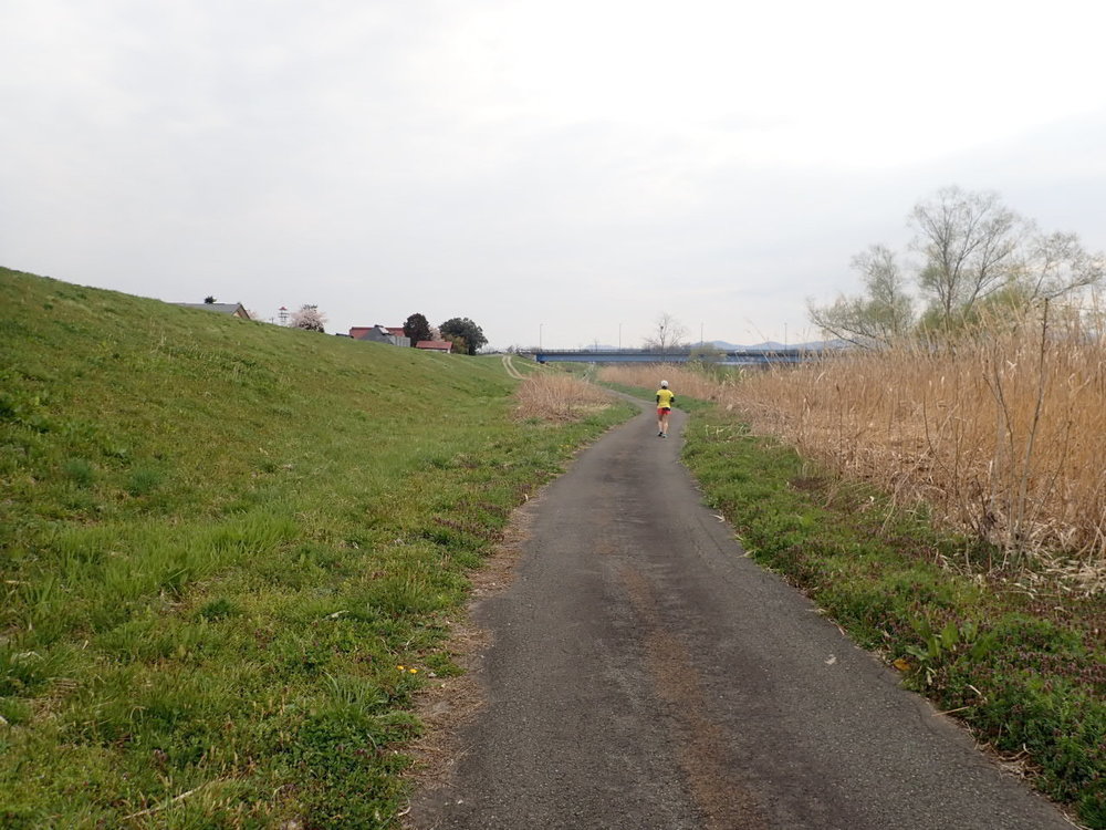 山寺・蔵王ウルトラマラソンの写真8