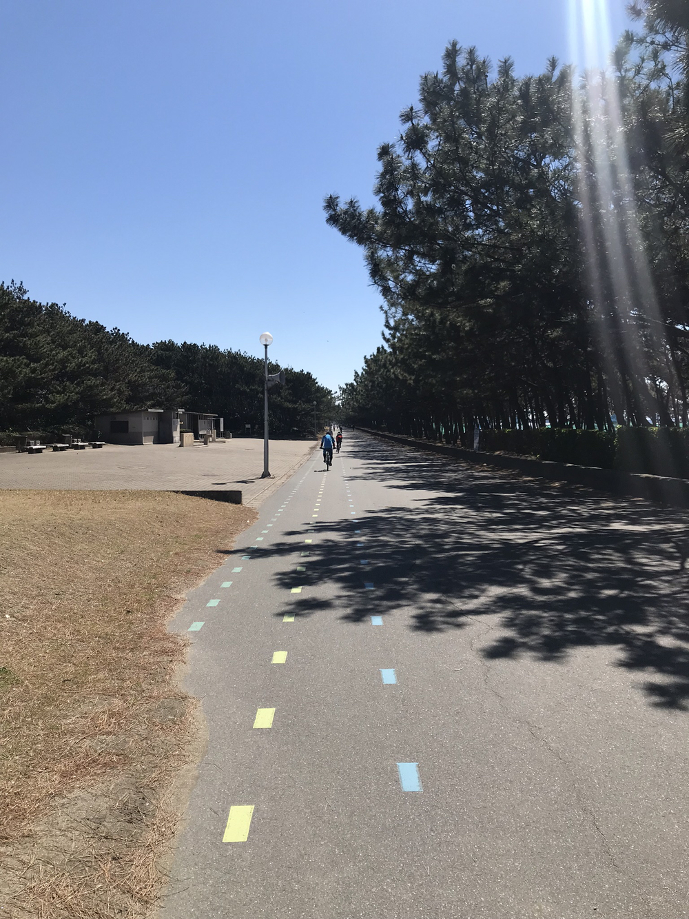 稲毛海岸シーサイドラン12kmの写真4