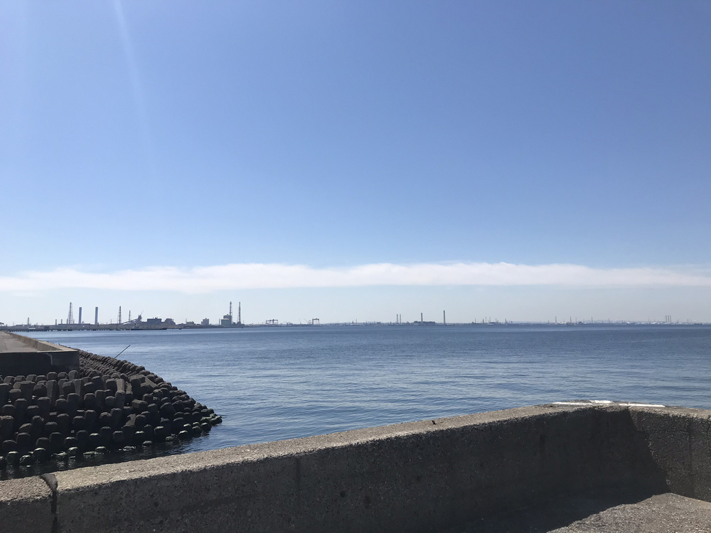 稲毛海岸シーサイドラン12kmの写真6